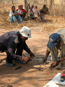 Preparing poison-arrows in Kalahari, Namibia.