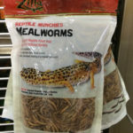 Insect foods in local pet store