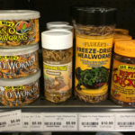 Insect foods in local pet store