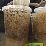 Insect foods in local pet store