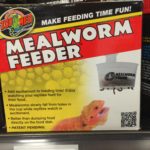 Insect foods in local pet store