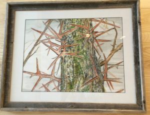 Locust tree by Shelley Barnhill