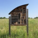 The Bee Hotel being visited by.....a wasp!