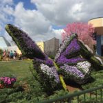 Entrance to Butterfly Pavilion at Epcot