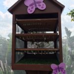 Butterfly Rearing House